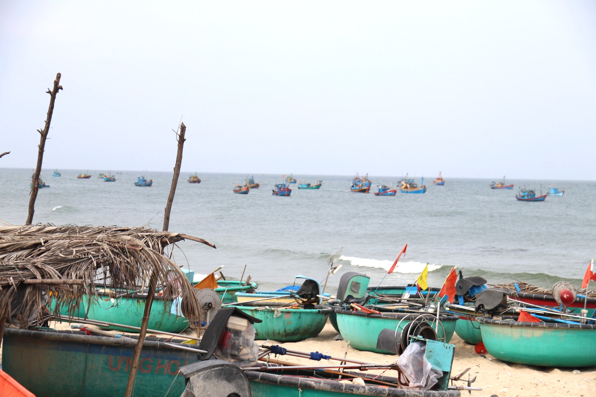 Lâm Đồng siết chặt quản lý đội tàu, quyết liệt ngăn chặn vi phạm IUU- Ảnh 1.