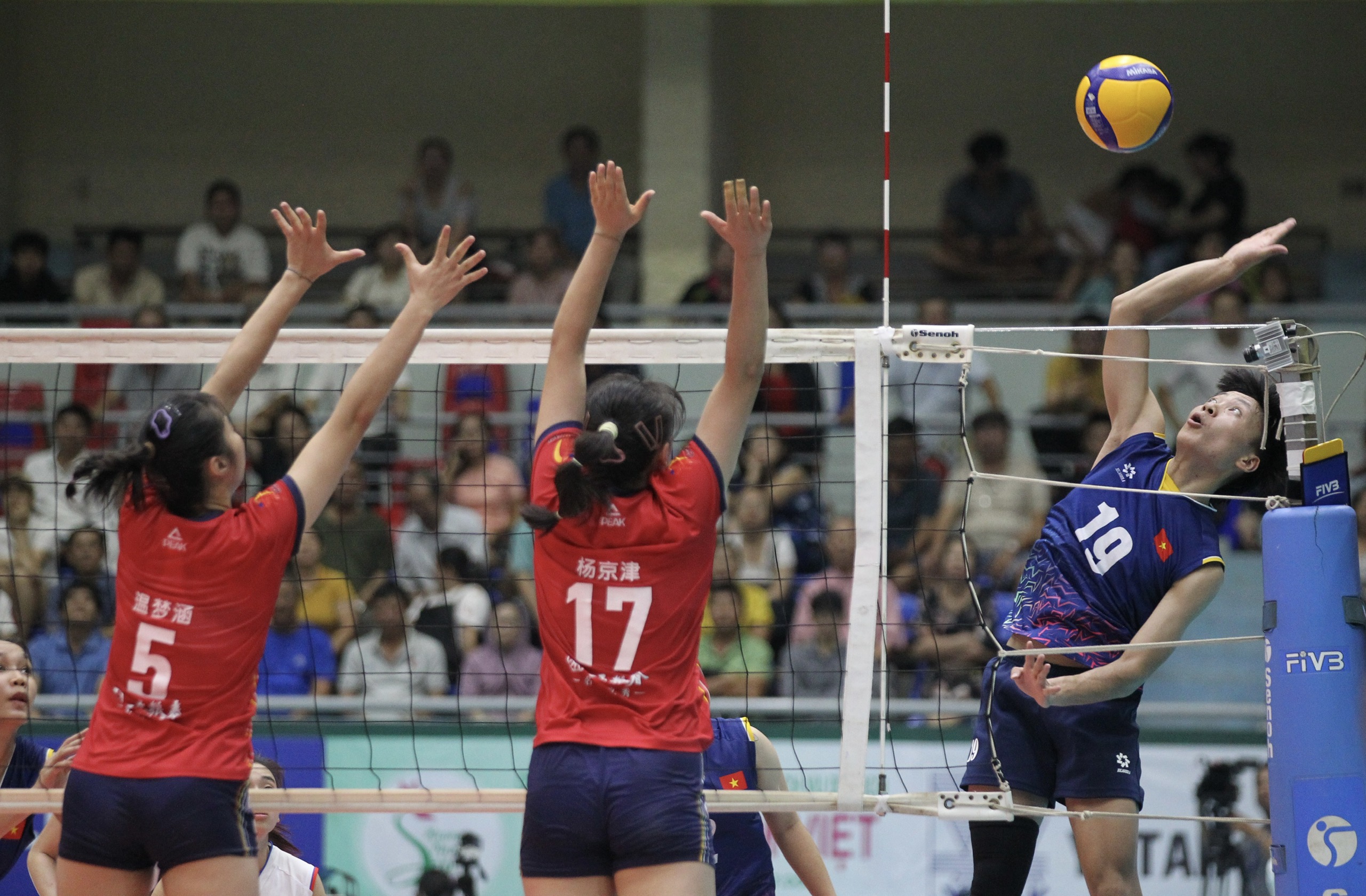 Liên đoàn Bóng chuyền Việt Nam cấm Đặng Thị Hồng thi đấu vĩnh viễn - Ảnh 3.