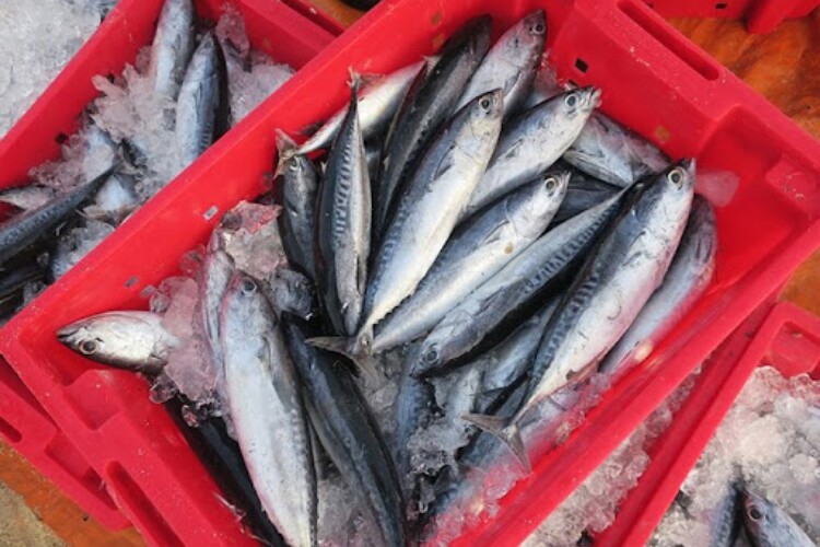 Loài cá có tên nghe đã thấy ngạc nhiên là đặc sản dân dã ở Đắk Lắk, ai ăn cũng phải bất ngờ thốt lên: amp;#34;Ồ!amp;#34; - 1