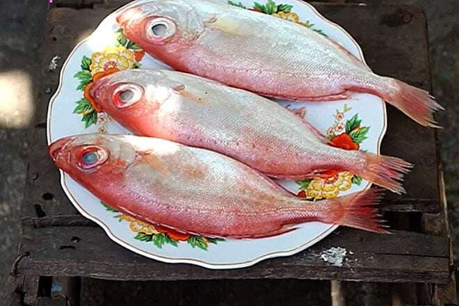 Loài cá có tên như món amp;#34;khoái khẩuamp;#34; của các cụ lại là đặc sản nức tiếng miền Tây, 300.000đ/kg vẫn amp;#34;cháy hàngamp;#34; - 1