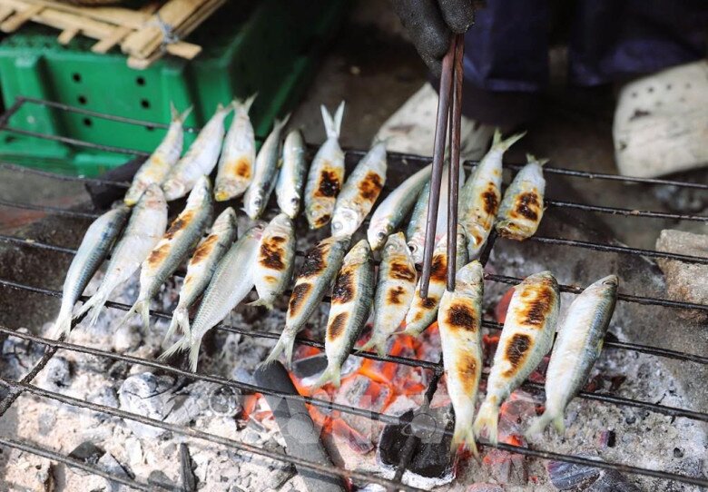 Loài cá rẻ tiền xưa hiếm ai thèm ăn lại bổ dưỡng hơn cả cá hồi, nay thành đặc sản nhiều vùng biển vì ngon-bổ-rẻ - 2