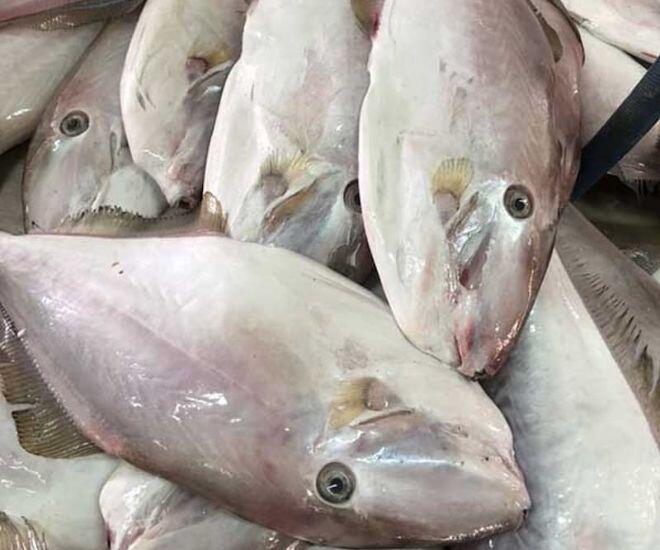 Loài cá tên như thú 4 chân xưa chỉ amp;#34;nhà nghèoamp;#34; mới ăn, nay đem phơi khô lại được giới trẻ cực thích, bán 250.000 đồng/kg - 1