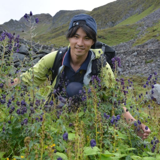 Loài cây biết tạo ra 