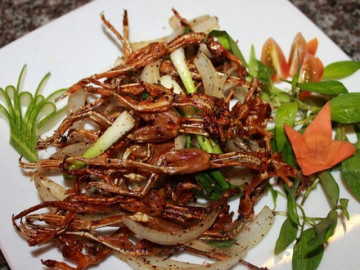 Những món đặc sản miền Tây nhất định phải thử, có món ăn độc lạ, nghe tên đã thấy thèm 