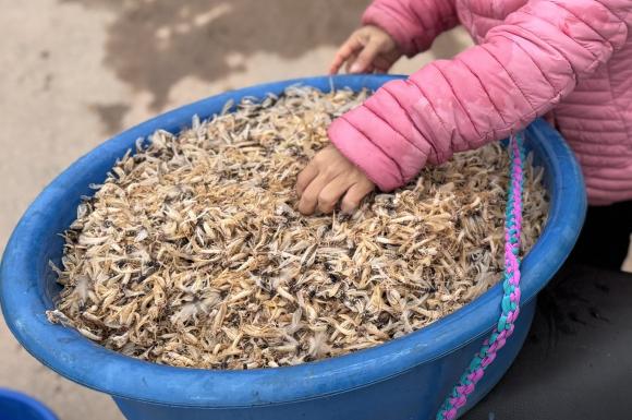 đặc sản, vật vờ, đặc sản Hà Nội