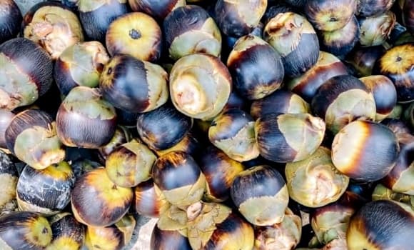 06-qua-thot-not-2.jpg 0 Quả thốt nốt