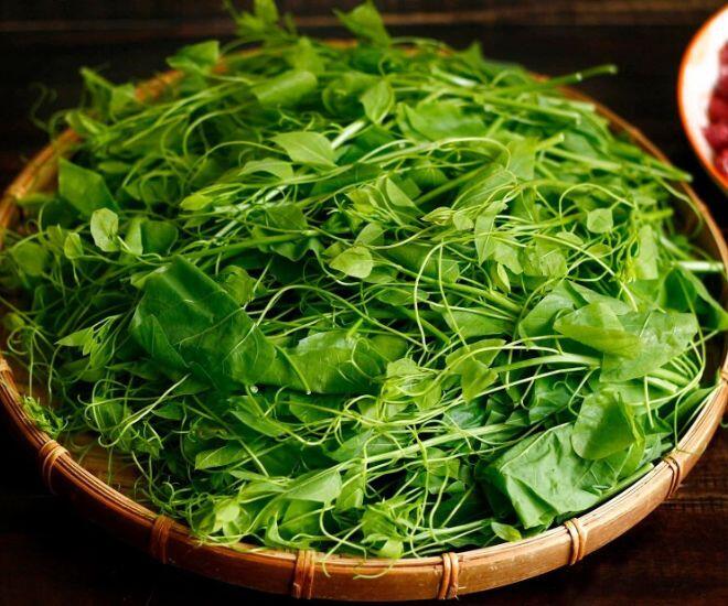 Loại rau khiến khách amp;#34;bịt mũiamp;#34; bỏ chạy lại thành đặc sản xuất khẩu sang Mỹ nhờ hương vị lạ và siêu bổ dưỡng - 1