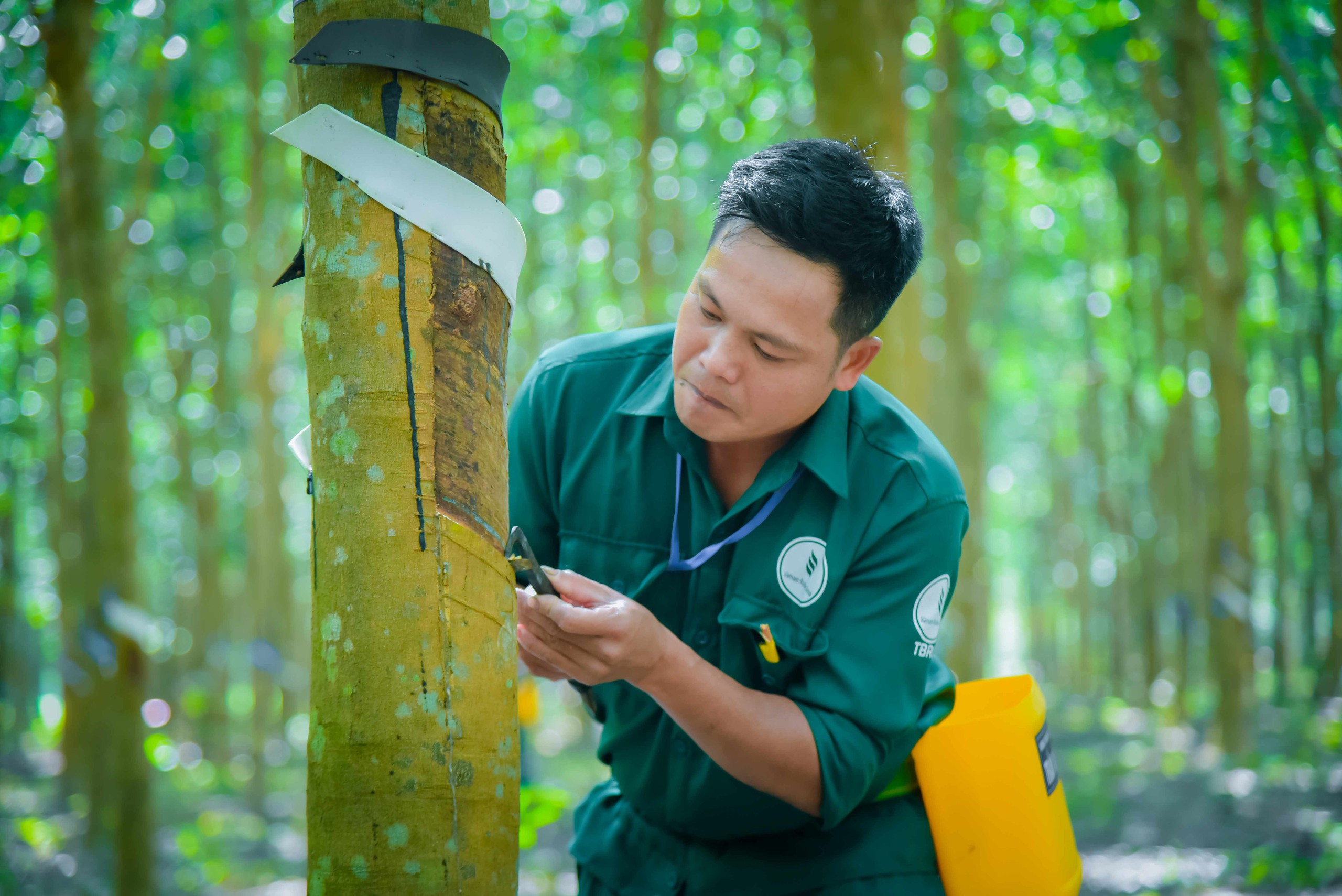 Lợi nhuận VRG đạt 5 . 312 Tỉ đồng chỉ trong 9 tháng , khẳng định vị thế ngành cao su - Ảnh 3.