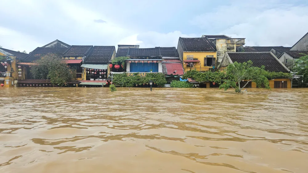 chủ tịch đà nẵng