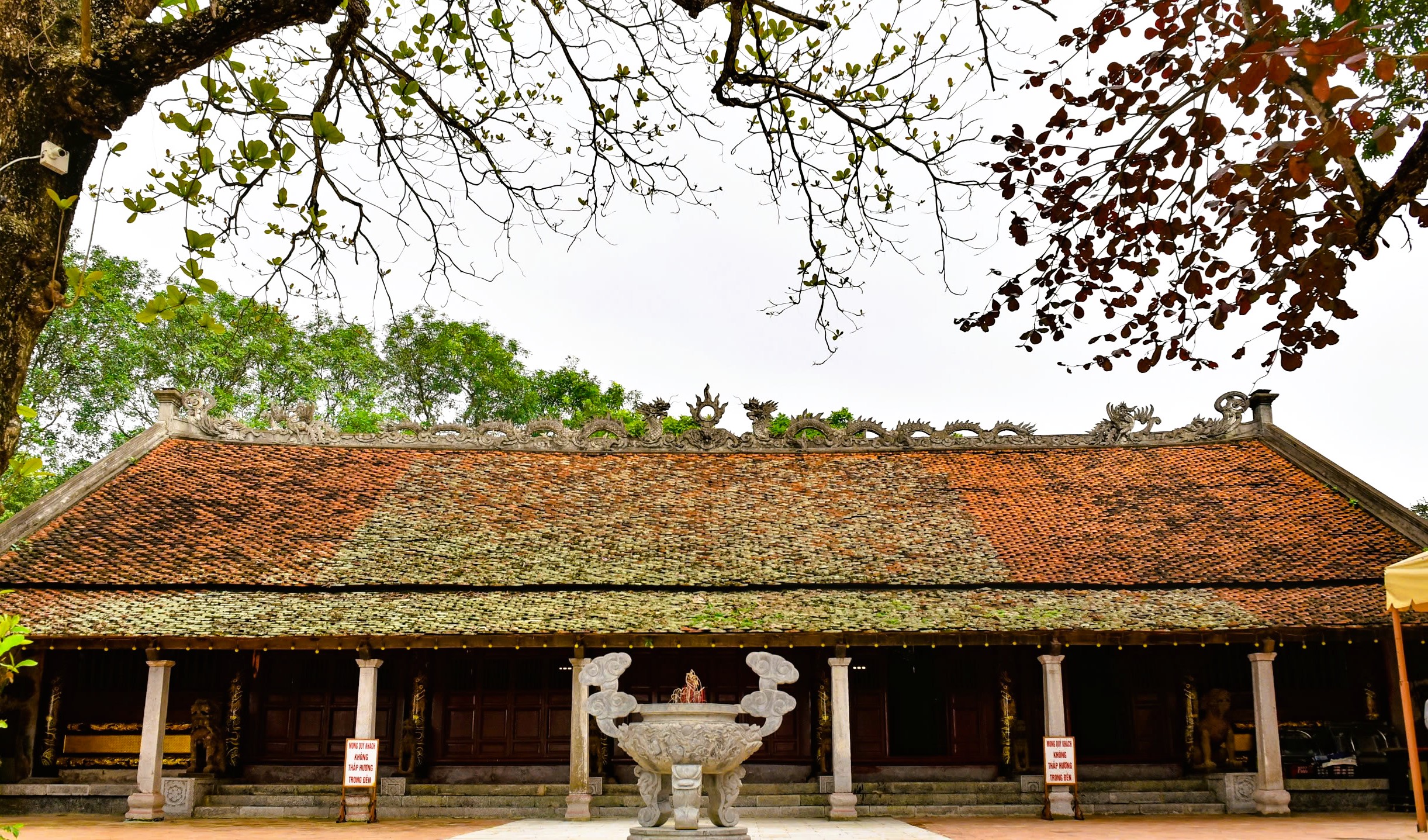 Lý do dự án tôn tạo Thái miếu nhà Hậu Lê 10 năm vẫn 