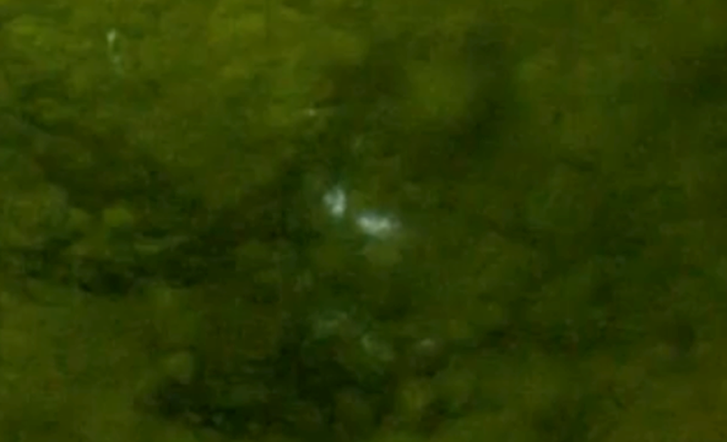 Ma là gì? Khoa học đã có câu trả lời - 3