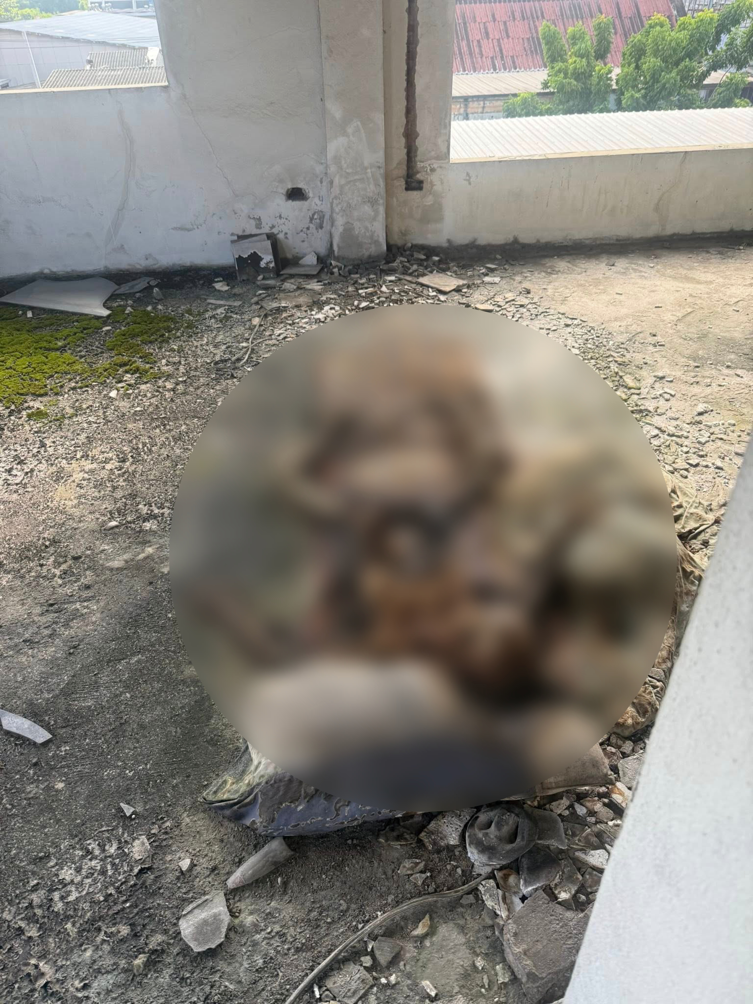 Mất điện thoại, đến khi tìm được, người đàn ông bủn rủn khi thấy có ảnh bộ xương người lạ bên trong- Ảnh 2.