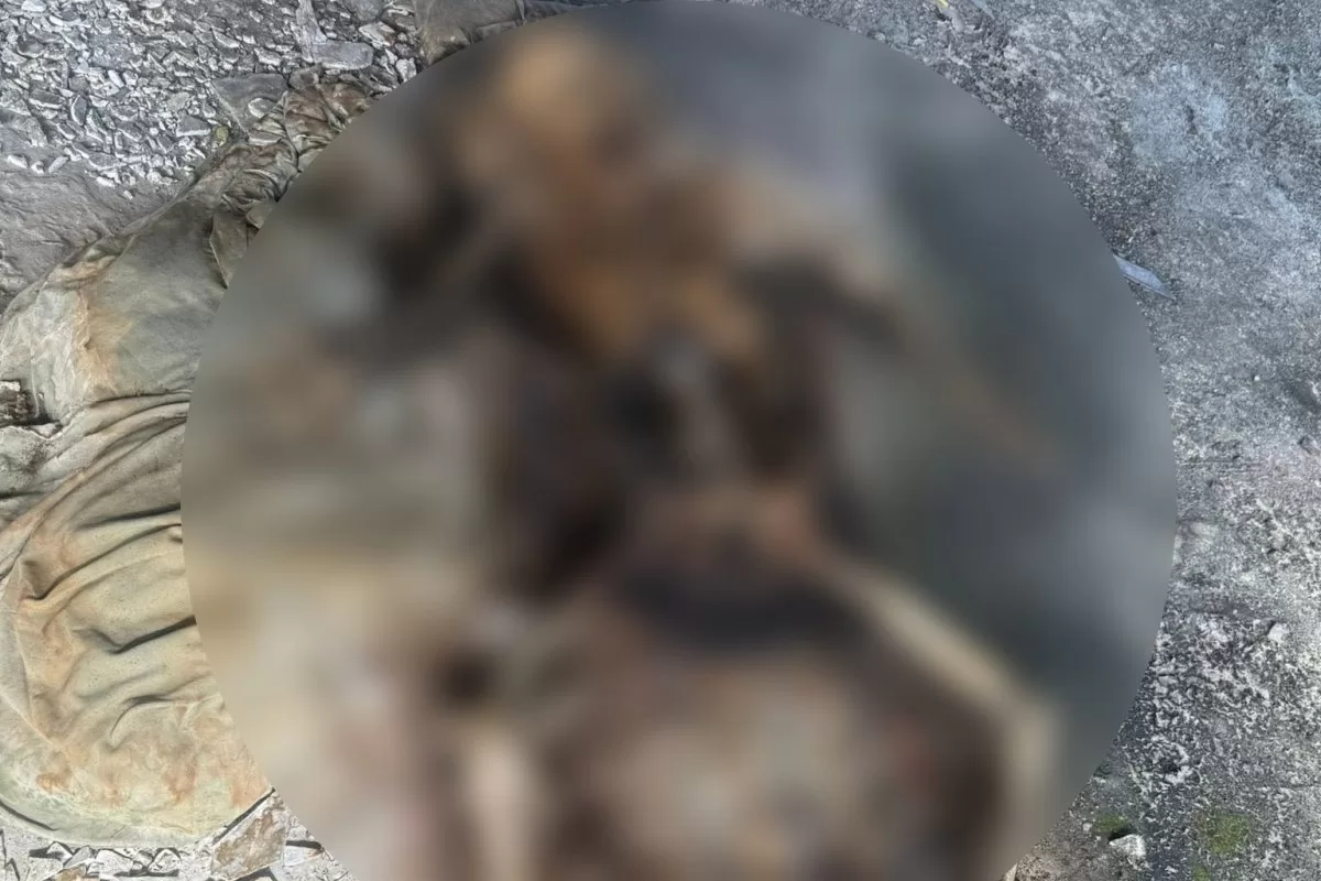 Mất điện thoại, đến khi tìm được, người đàn ông bủn rủn khi thấy có ảnh bộ xương người lạ bên trong- Ảnh 1.