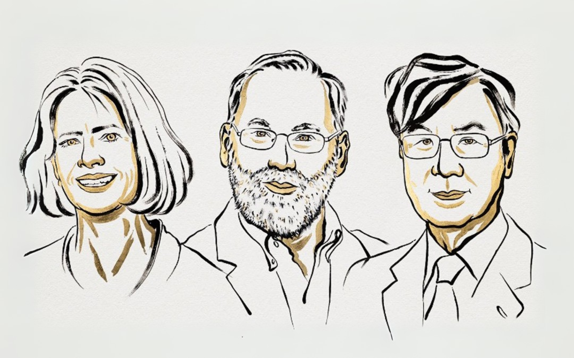 Mở màn Nobel 2025: Lĩnh vực y sinh vinh danh 3 nhà khoa học Mỹ và Nhật Bản - Ảnh 2.