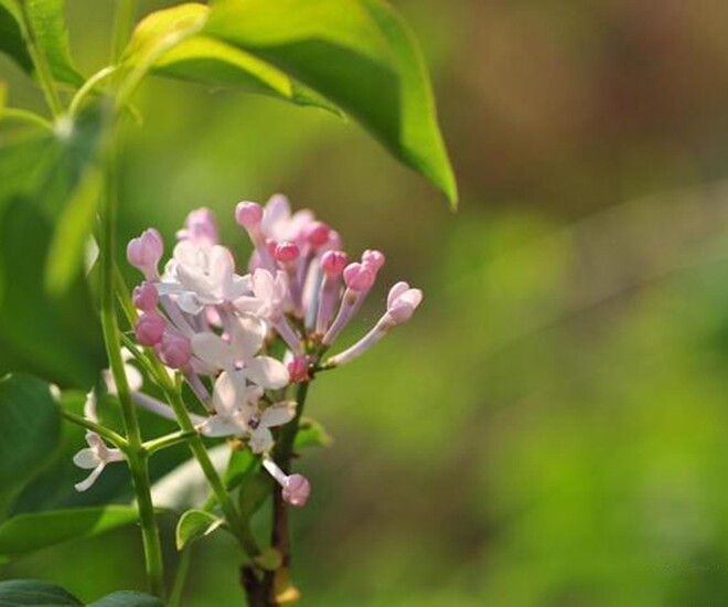 Một người có nhiều tiền hay không, chủ yếu quyết định bởi 3 người này - 1