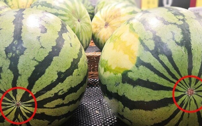 Mua dưa hấu, chỉ cần nhìn 4 chỗ này chẳng phải vỗ mỏi tay cũng chọn được quả ngọt ngon - 1