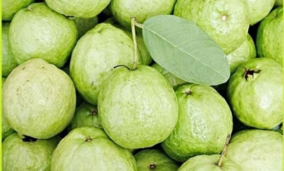 ổi, cách chọn ổi ngon