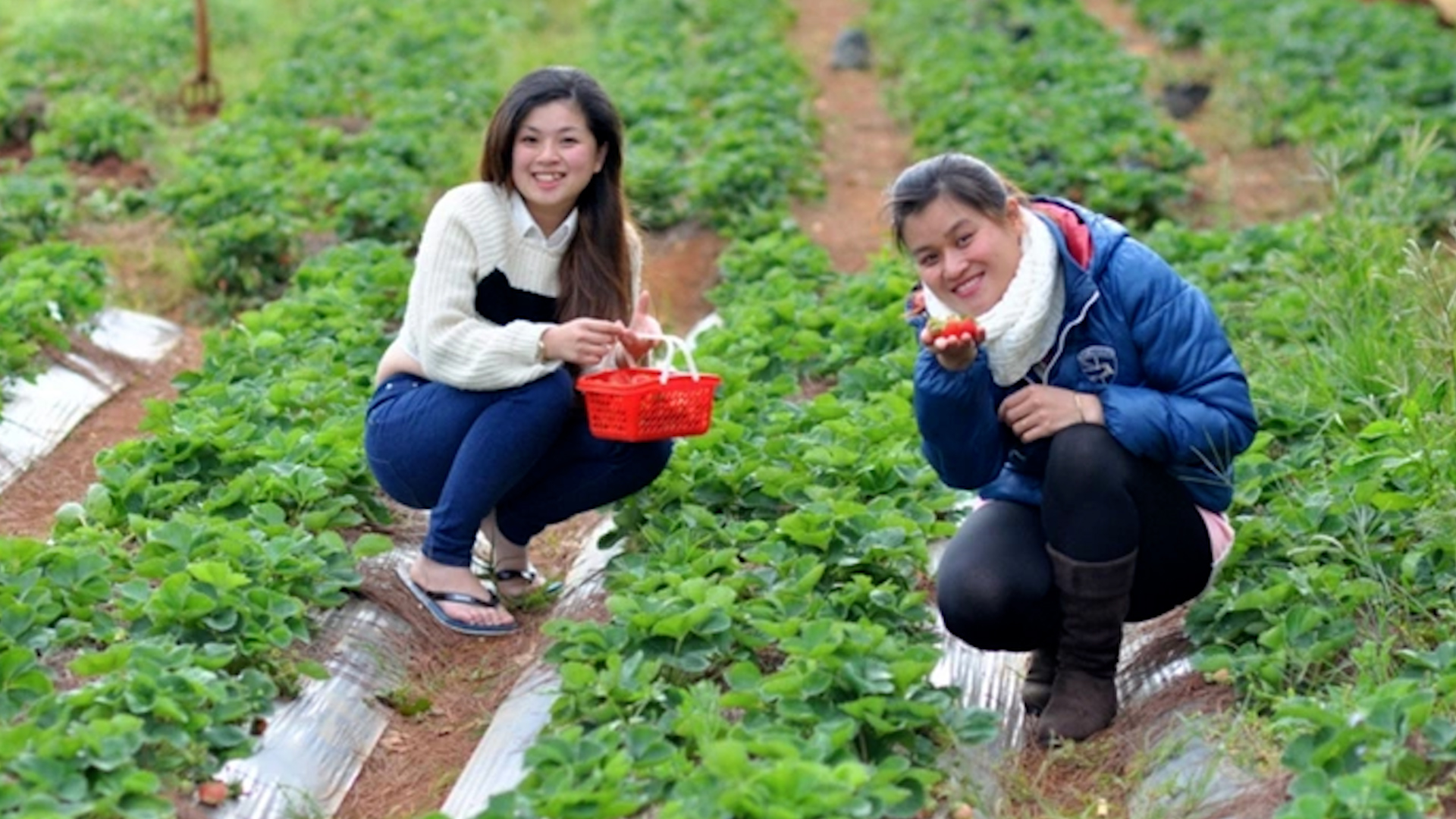 New Zealand điều chỉnh chính sách thị thực để giữ chân lao động tay nghề cao - Ảnh 1.