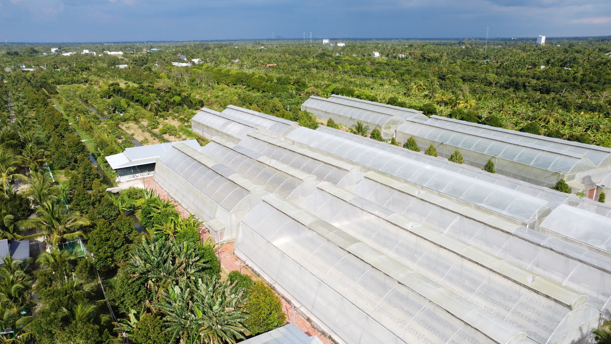 Người phụ nữ miền Tây trồng dưa lưới kết hợp làm du lịch - Ảnh 1.