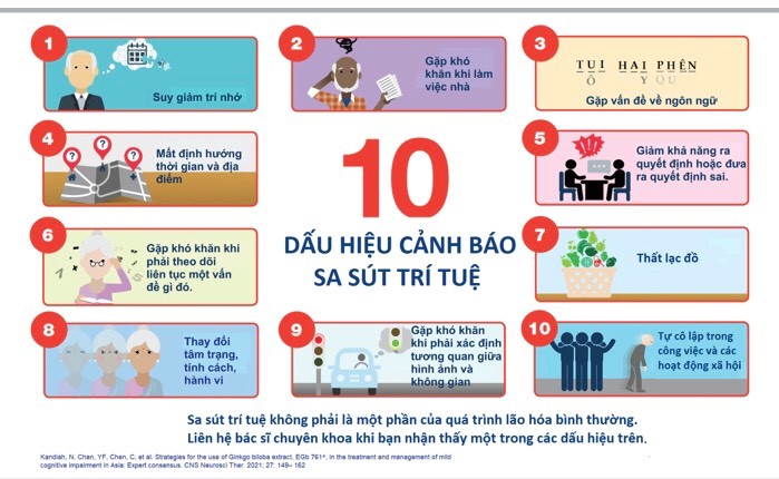 Nhận diện sớm sa sút trí tuệ ở người cao tuổi - Ảnh 2. sa sút trí tuệ - Ảnh 2.