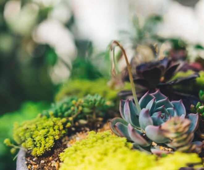 Nhớ 4 câu này và bạn sẽ hạnh phúc! - 1