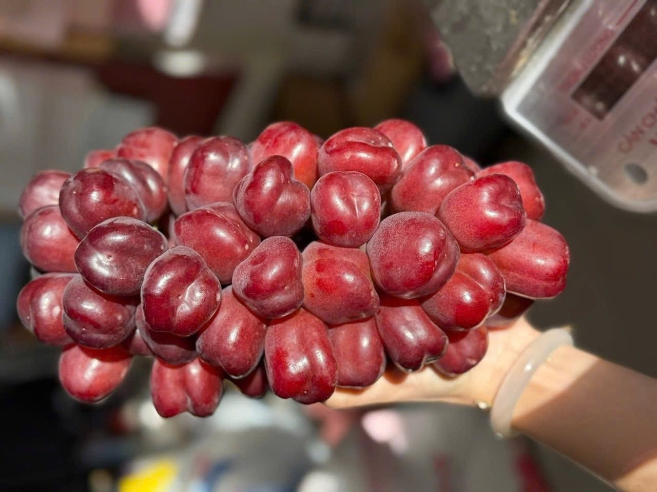 Nho sữa đỏ Trung Quốc gây sốt tại chợ Việt , giá đắt gấp 10 lần nho sữa xanh - Ảnh 2.