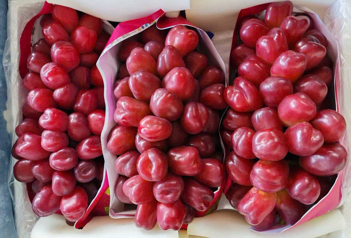 Nho sữa đỏ Trung Quốc gây sốt tại chợ Việt , giá đắt gấp 10 lần nho sữa xanh - Ảnh 1.