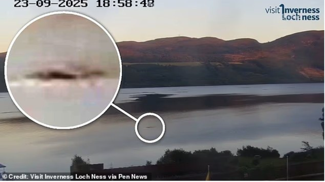 Gặp 'thủy quái' to như xe buýt bơi trên mặt hồ, thợ săn nói: Những gì tôi thấy là độc nhất vô nhị- Ảnh 1.