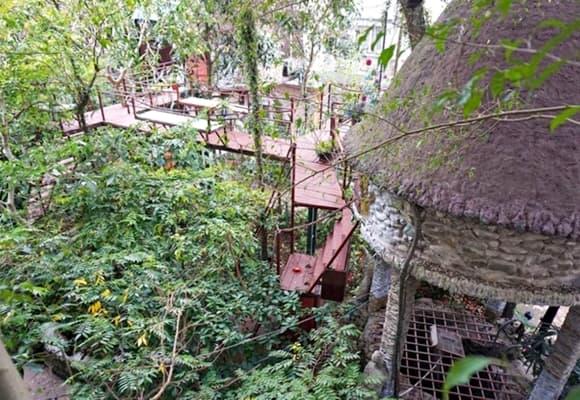 ngôi nhà độc dị nhất Việt Nam, nhà trên cây giữa lòng Hà Nội, 'ngôi nhà điên' ở Đà Lạt