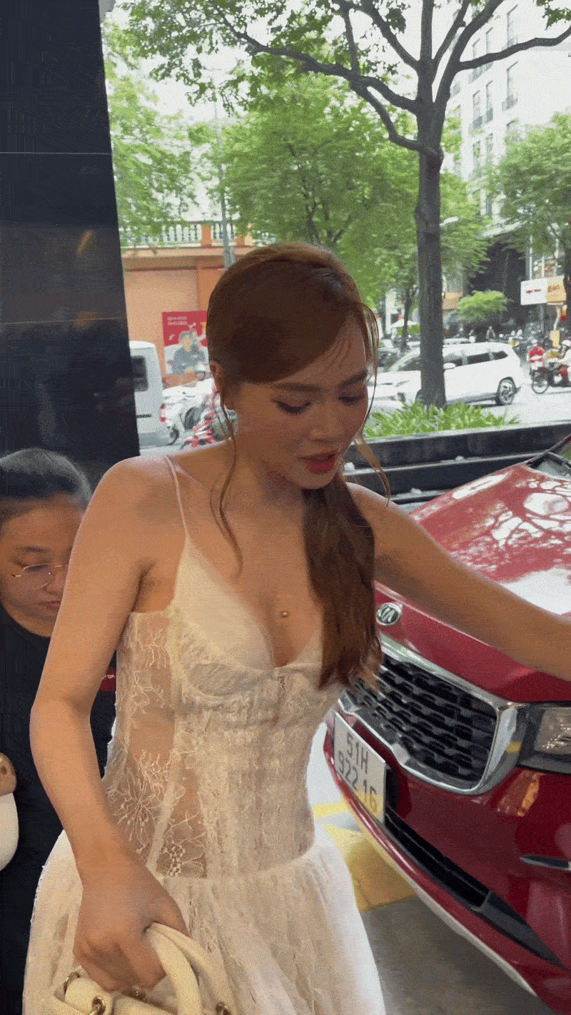 Ninh Dương Lan Ngọc có phải dừng hoạt động? - Ảnh 2.