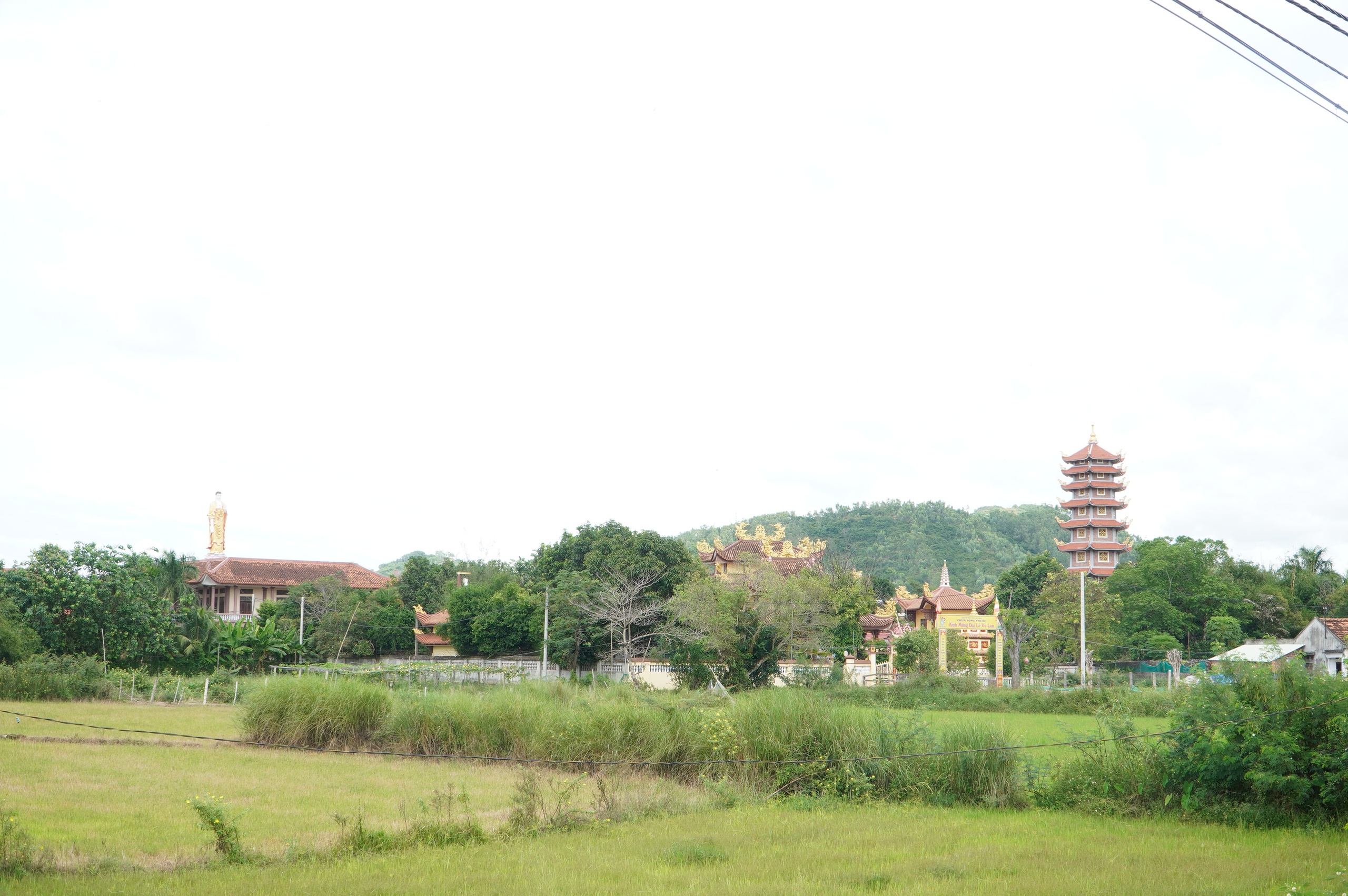 - Ảnh 1. - Ảnh 1.