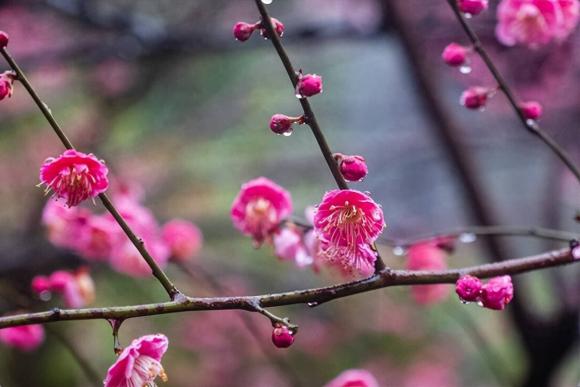 60-tuoi (1).jpeg 1 tuổi già