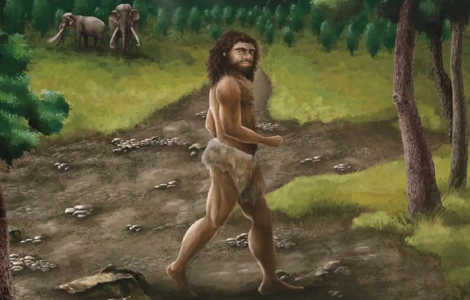 Phát hiện hài cốt người đàn ông khác loài ở Đài Loan (Trung Quốc)- Ảnh 1. Phát hiện hài cốt người đàn ông khác loài ở Đài Loan (Trung Quốc)- Ảnh 1.