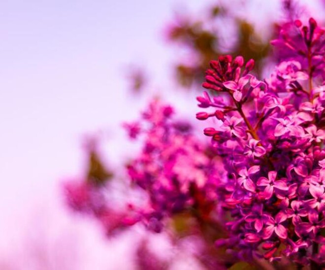 Phụ nữ phước lành nhiều hay không, 2 điểm này không thể che giấu 1 Phụ nữ phước lành nhiều hay không, 2 điểm này không thể che giấu - 1