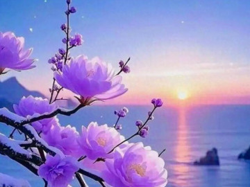 3 câu người khôn ngoan nhất định sẽ không hỏi