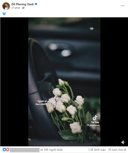 Phương Oanh lên tiếng- Ảnh 1.