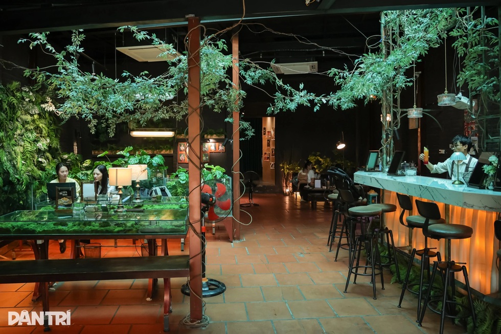 Quán cà phê như khu rừng nhỏ giữa phố Hà Nội, bàn uống nước là bể cá - 1