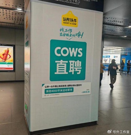 Quảng cáo sữa khiến dân công sở 'sôi máu' 1 quảng cáo sữa - Ảnh 1.