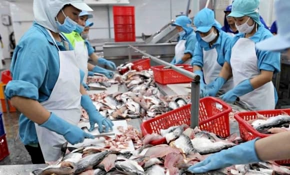 cá tra, xuất khẩu, Việt Nam