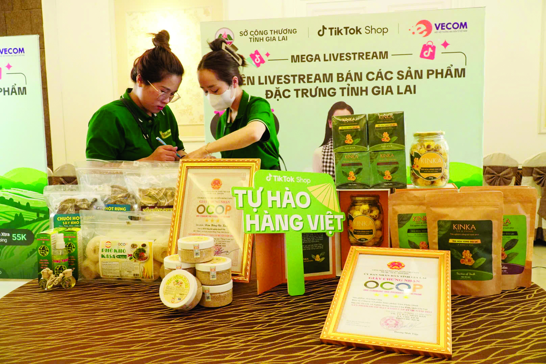 Sở Công Thương Gia Lai đưa hàng Việt lên ngôi- Ảnh 1.