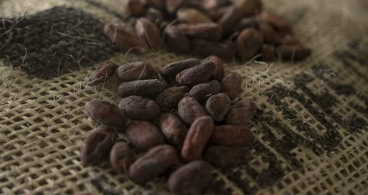 Sốt giá suốt 2 năm liên tiếp, giá loại hạt được gọi là 'thức ăn của các vị thần' bất ngờ rơi xuống thấp nhất 20 tháng - chuyện gì đang xảy ra?- Ảnh 1.