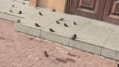 Sự chậm trễ của mùa thu- Ảnh 2.