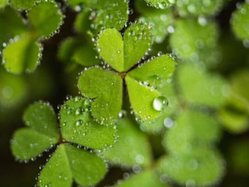 Phụ nữ có 4 thói quen này thực sự rất thông minh, không hề đơn giản