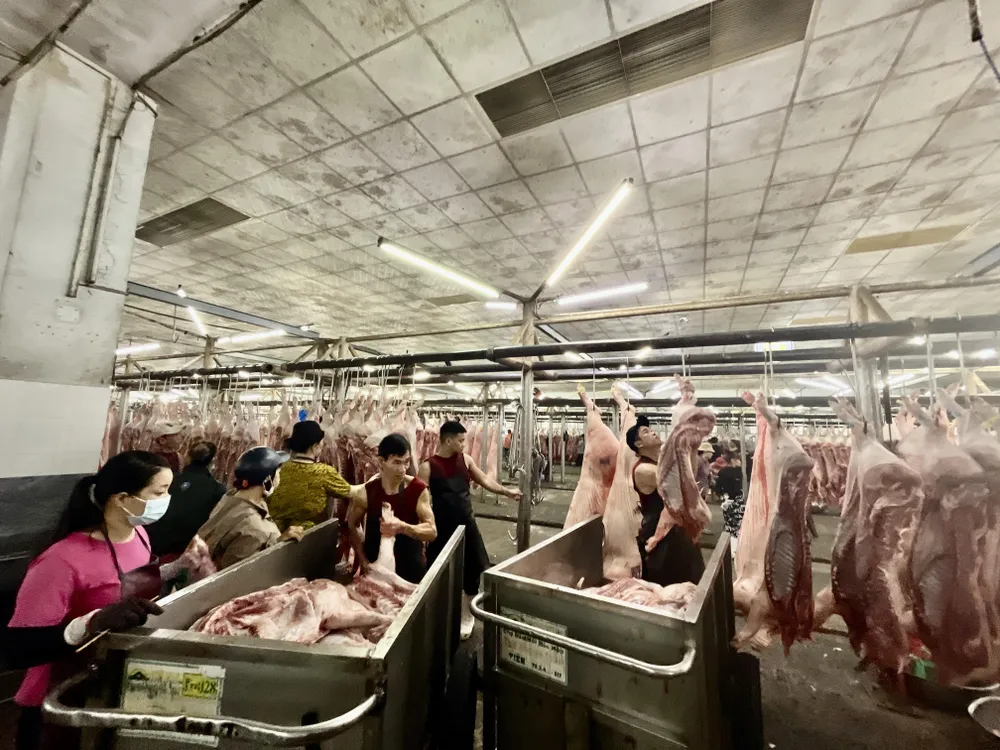 sàn giao dịch thịt heo