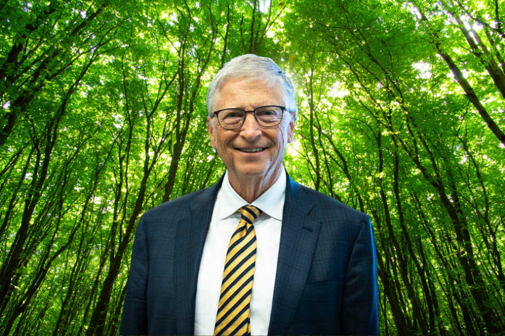 “Tắm rừng”: Xu hướng khiến giới thượng lưu, tỷ phú say mê - 2