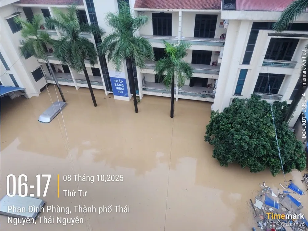 Công ty điện lực Thái Nguyên.jpg