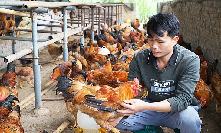 thanh niên - Ảnh 1.