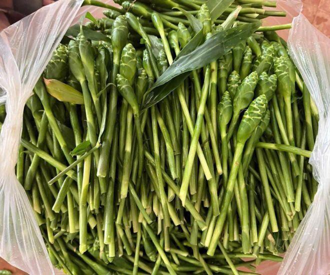 Thứ tưởng măng tây đang khiến chị em Thủ đô amp;#34;lùng sụcamp;#34;: Mỗi năm chỉ có 1 mùa, người chê amp;#34;như bò nhai rơmamp;#34; người lại cực nghiện - 1