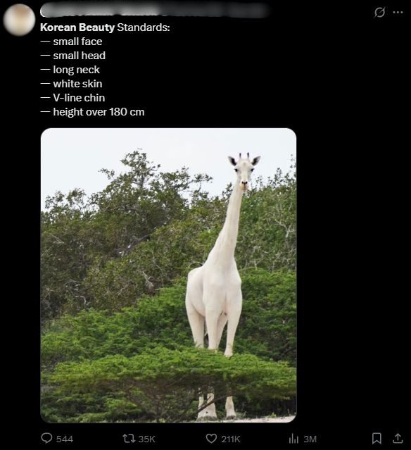 Tiêu chuẩn sắc đẹp của dân Hàn khiến V (BTS) 