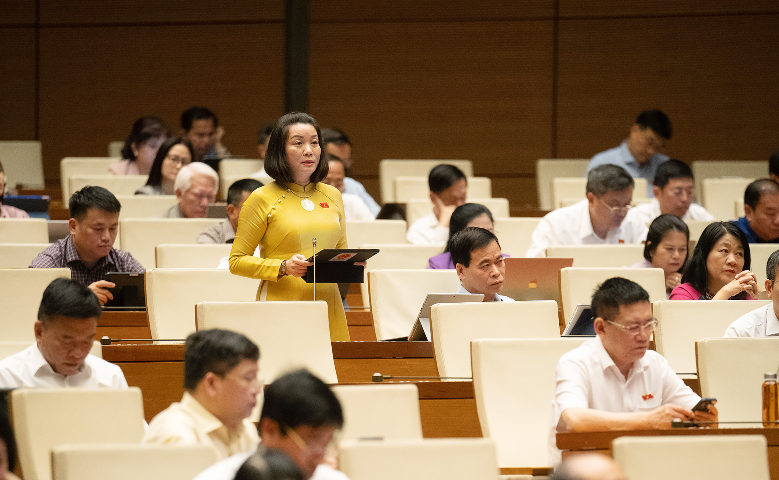 Quốc hội - Ảnh 1.